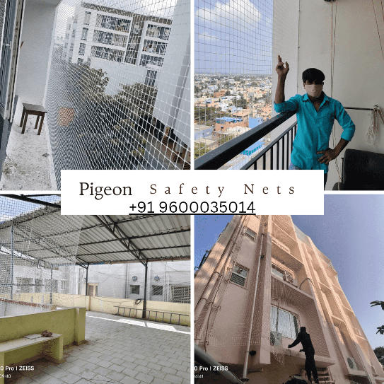  pigeon safety nets